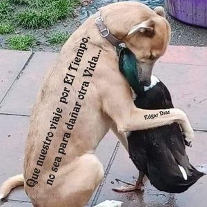 Meet your Posher, Martha